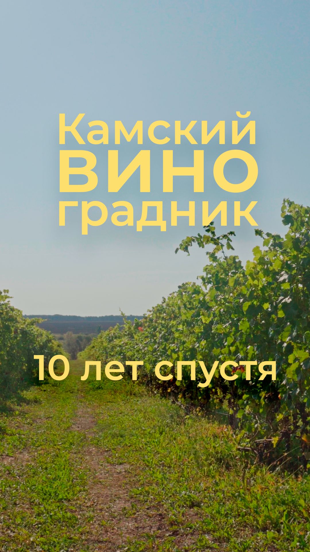 Как изменился Камский виноградник за 10 лет?