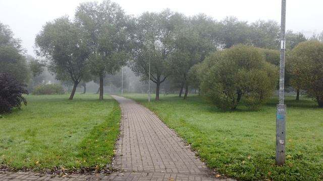Туман в СПб