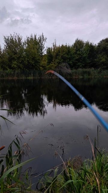 На реке осенью...
