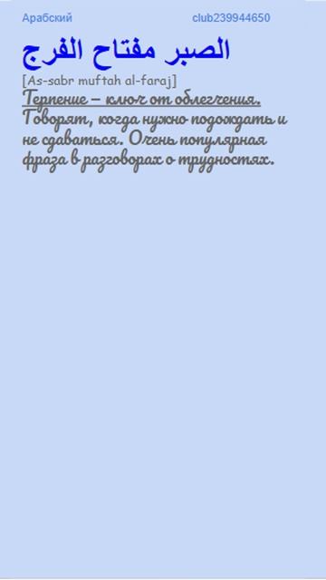7 живых пословиц, которые арабы реально используют в быту💪