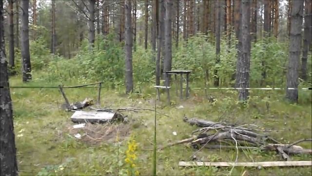 С друзьями по Нее (1 ч)