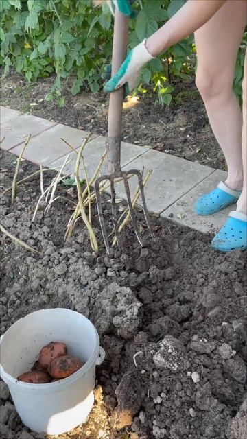 Ноги из жопы, зато руки золотые