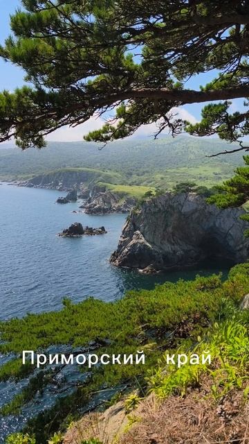 Приморские красоты, бухта Орлинка #летовесьгод #приморскийкрай #орлинка #природа #природаРоссии