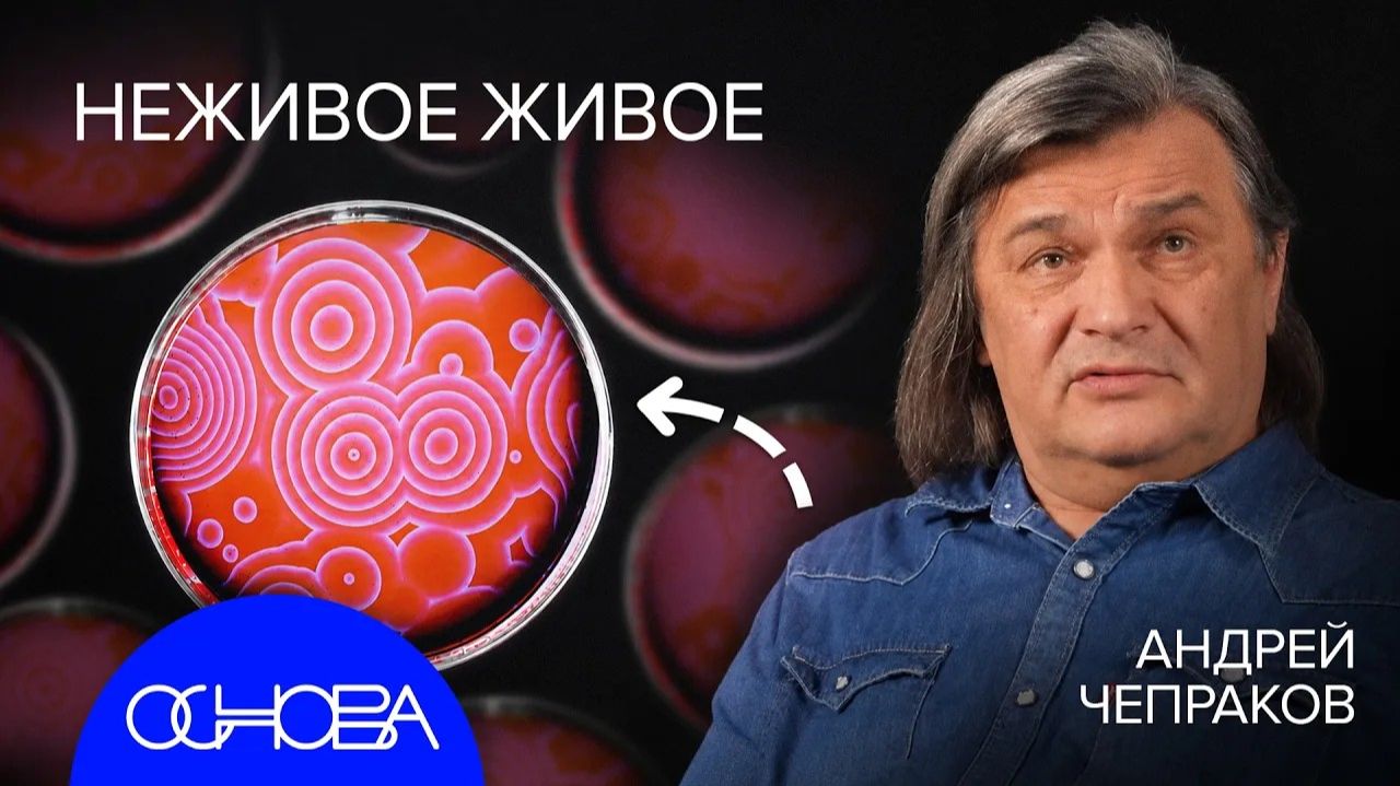 основа