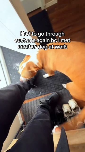 Подпишись на нас в Соц Сетях👇👇👇