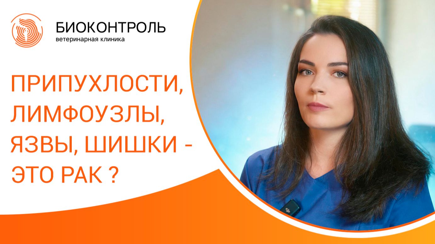 🐾 Шишки, припухлости, лимфоузлы, язвы - это симптомы рака у собак и кошек? Биоконтроль