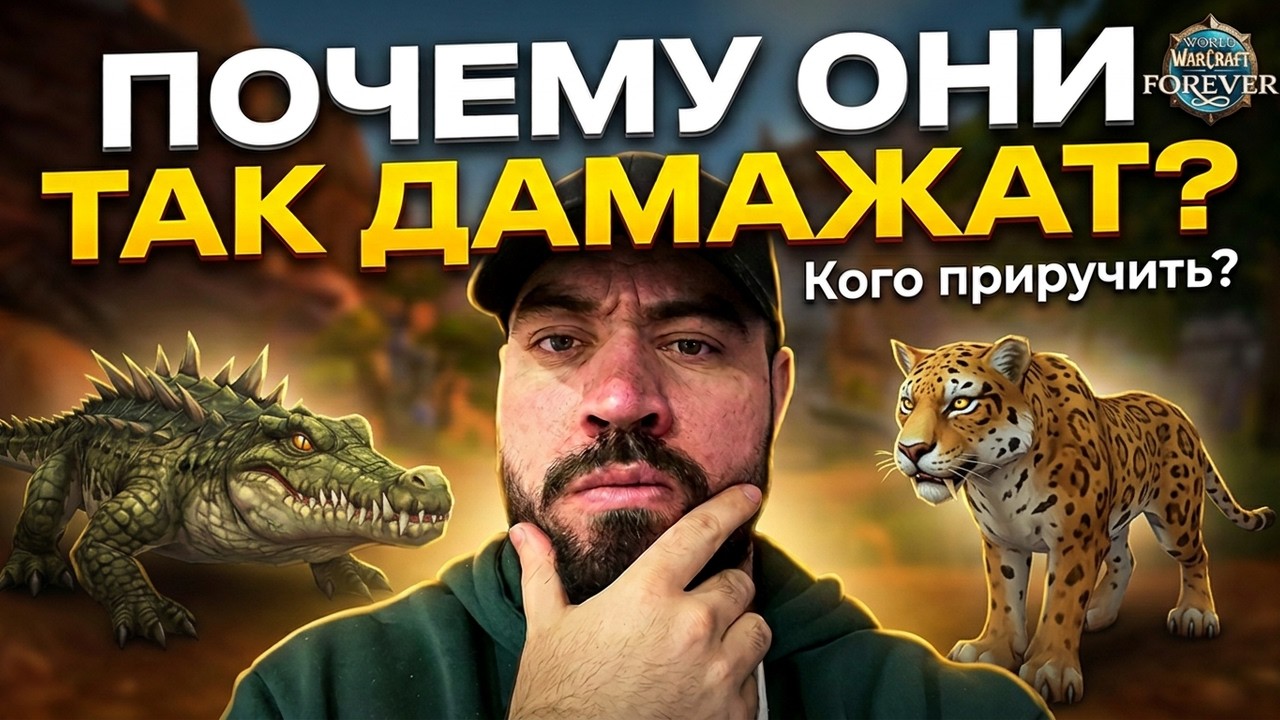 Кого Приручить Первым? Сравниваем Всех Петов в WoW Forever