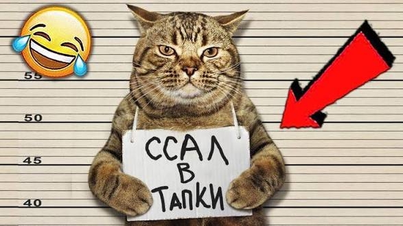 ЮМОР И ПРИКОЛЫ 😜😜😜