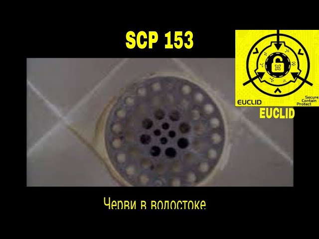 SCP 153 Черви в ВОДОСТОК рассказ