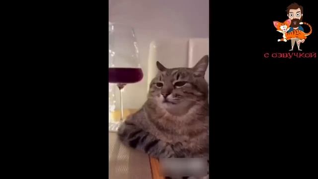 ЮМОР И ПРИКОЛЫ 😜😜😜