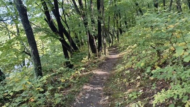 Прогулка в лес к Лешему, 27.09.2026