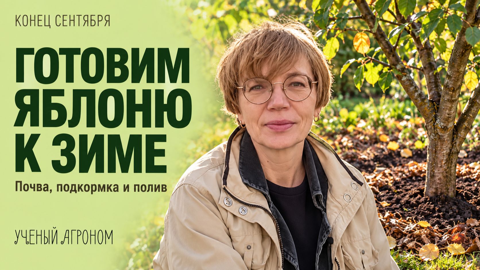 Готовим яблоню к зиме