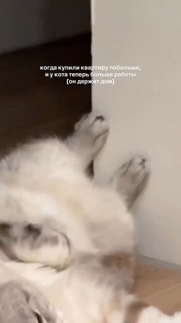 Смешное