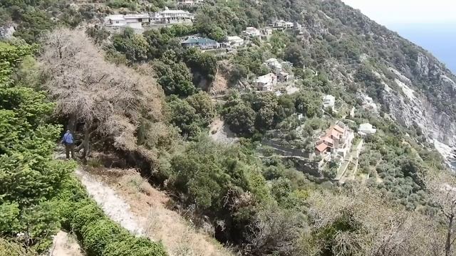 Старец Иосиф Исихаст. Советы