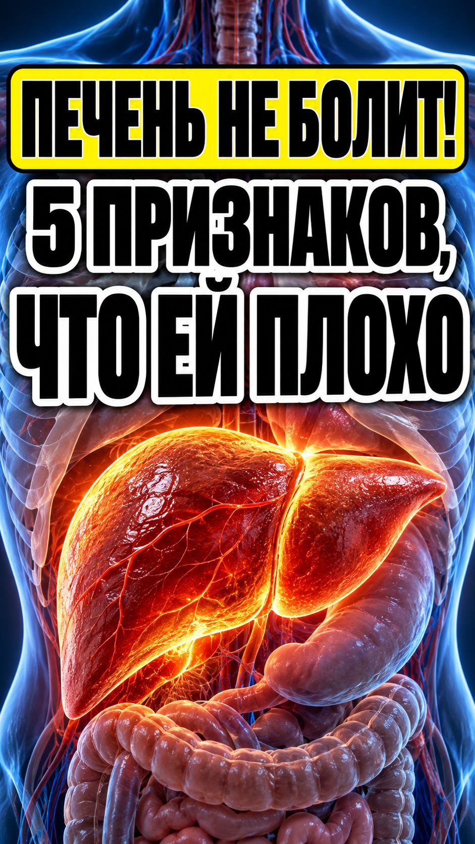 Печень не болит! 5 признаков, что ей плохо #здоровье #печень #признаки