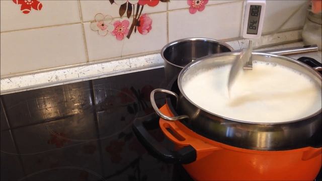 Адыгейский сыр, приготовленный в домашних условиях