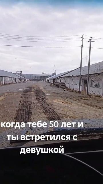 #приколы #смех #животные #юмор