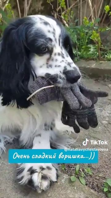 Воришка...)))