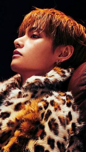 V ✌️ Bts