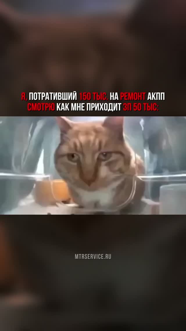 Допустимый урон... Записывайтесь на ремонт АКПП в Москве! Контакты в шапке профиля.