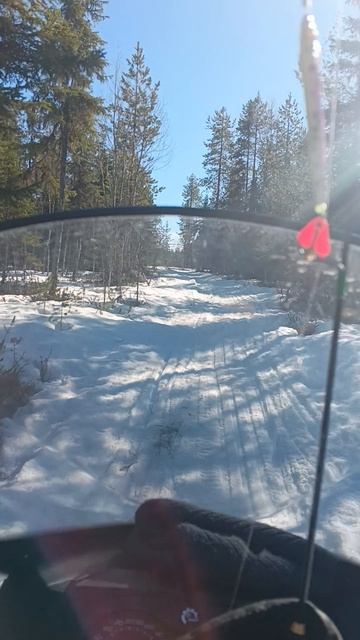 VID_20260403_123554
