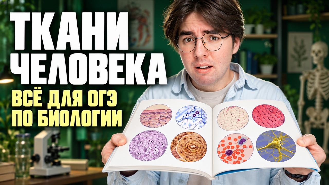 Ткани человека: полный разбор для ОГЭ по биологии | Никита Павлов | Умскул