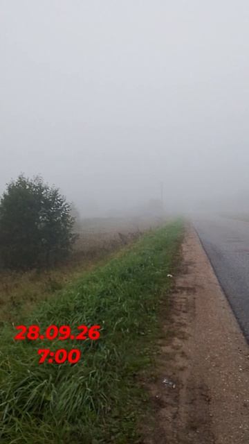 28.09.26. Смоленская область утро!