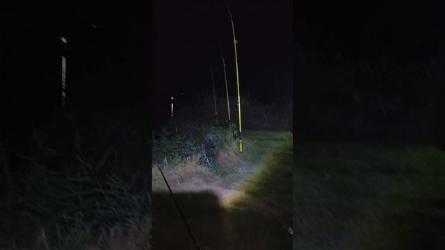 выезд на леща в сентябре