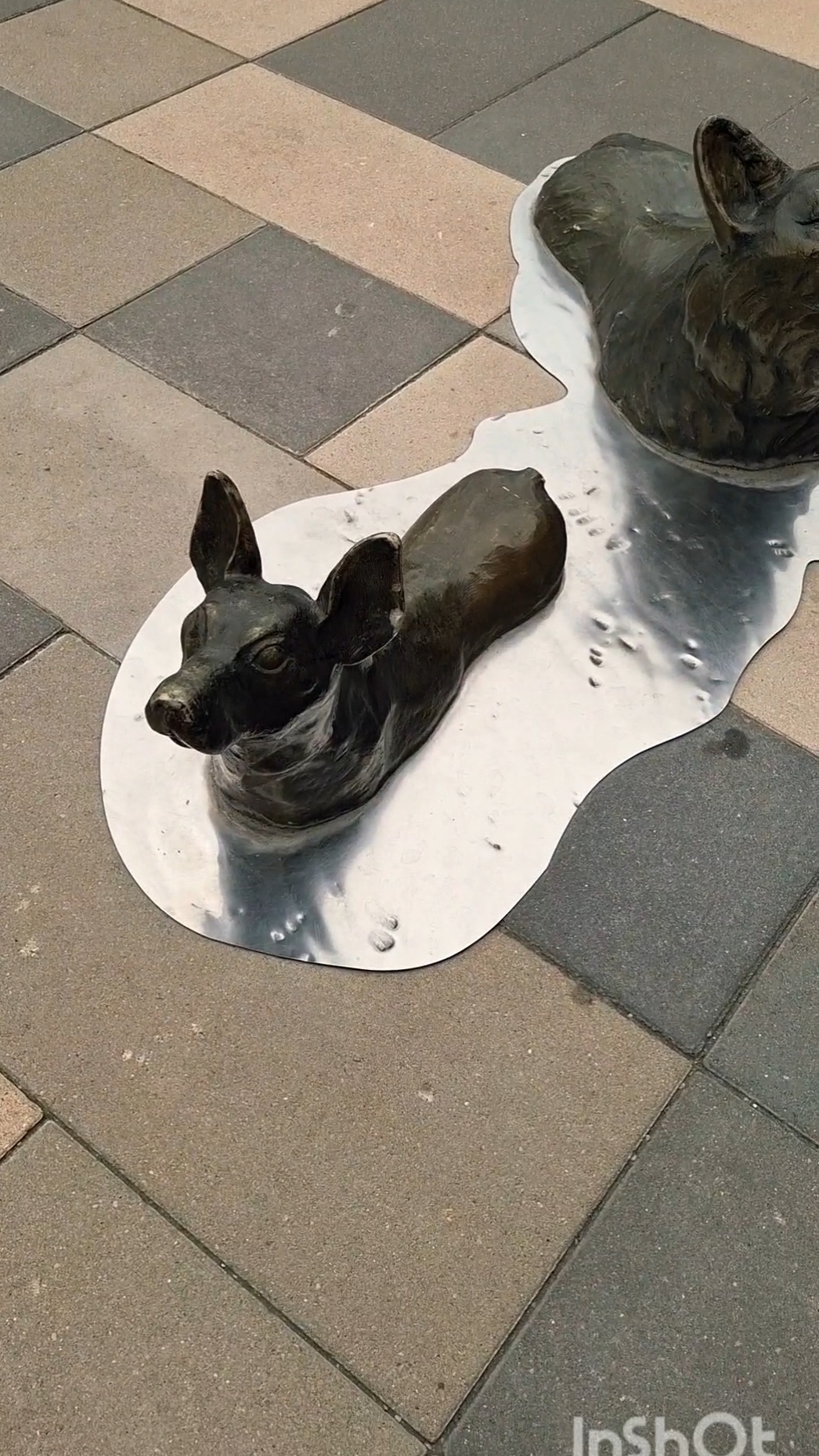 Привет пёсики🐕! Как вы сюда попали? #собачки #мило #инсталляция #природа #парк #прогулка