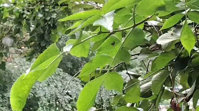 28.08. 2026 г. Жизнь ВПО_ Пасмурно, мелкий🌧️Они обозлены, но не моя вина в этом🙁Куриный рулет👍