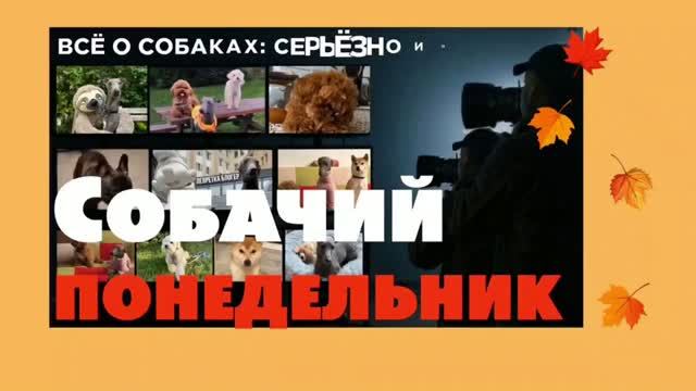 ЭКСПЕРИМЕНТ ПРОВАЛЕН?
