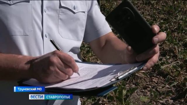Россельхознадзор проверяет урожай на безопасность