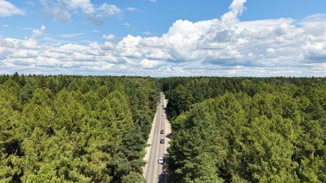 Копия DJI_20260809114254_0587_D