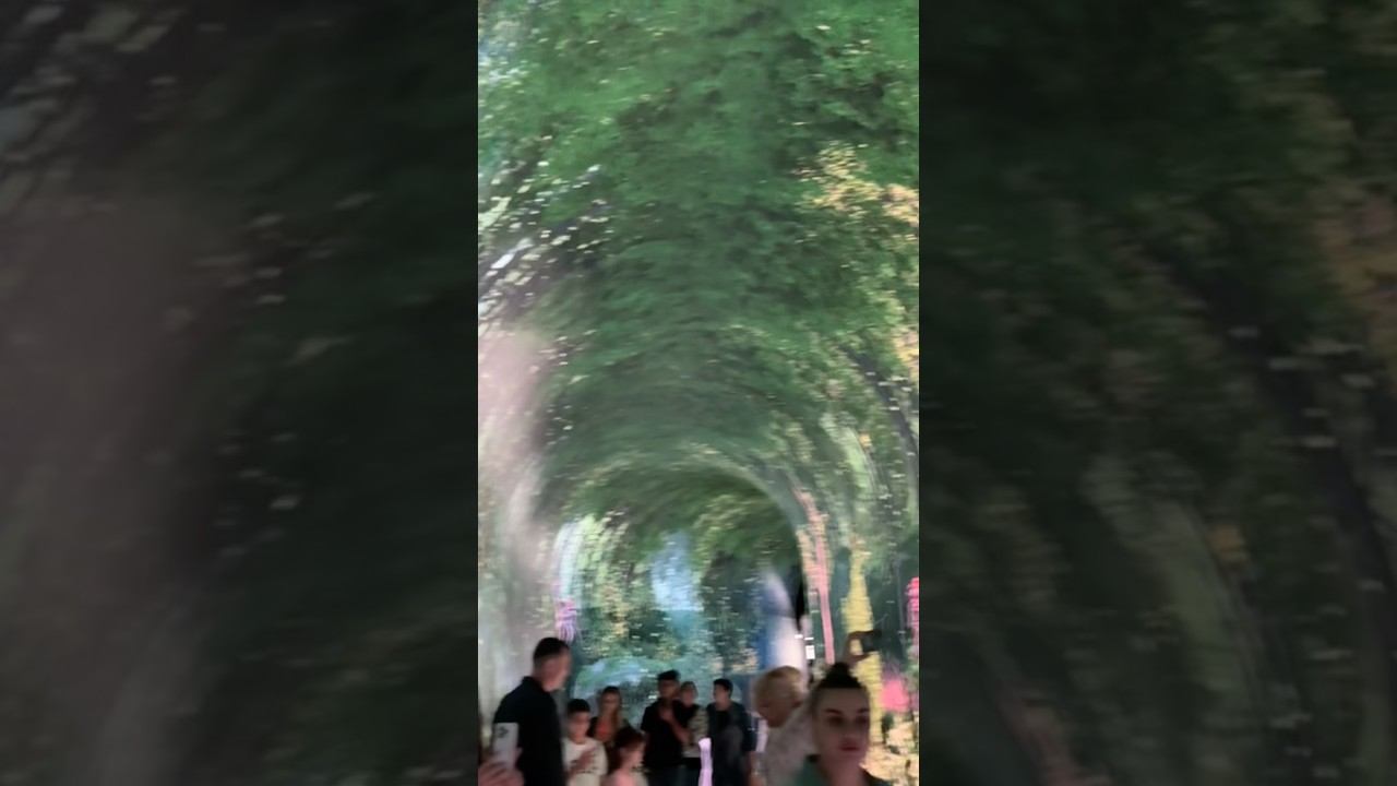 #мамаотличника #паркгалицкого
