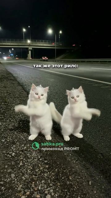 Sabka.pro — все нейросети в одном месте, без VPN.
