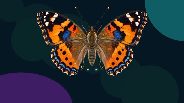 Научная справка: Как бабочка пробует «еду»? 🦋 Начинаем эксперимент! Спокойной ночи, малыши