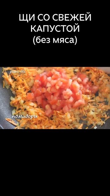 ЩИ СО СВЕЖЕЙ КАПУСТОЙ (без мяса) #shorts