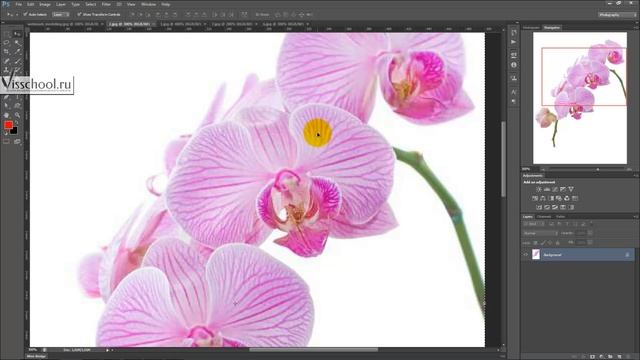 Уроки 3d Max - Вебинар по 3Ds Max - моделирование орхидеи, книг, студии и стен в 3Ds Max