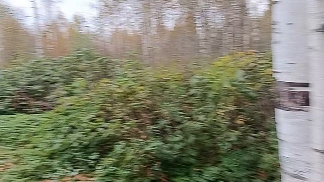 ГОЛОВА БОЛИТ ‼️ ДАВЛЕНИЕ УПАЛО