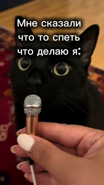 барсик