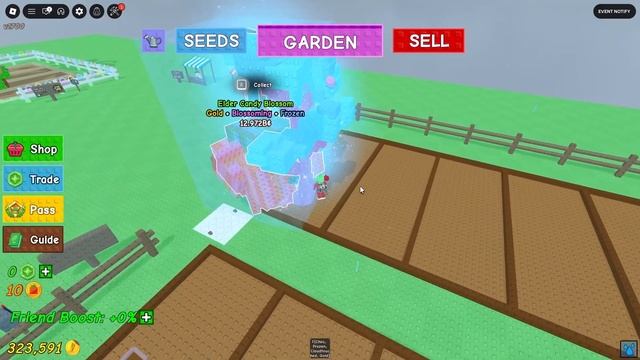 ELDER CANDY BLOSSOM в ВЫРАСТИ САД роблокс | Grow A Garden Roblox | Самое крутое растение в игре