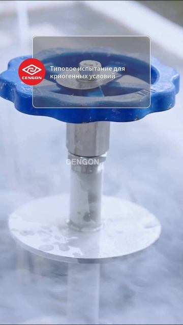 Типовое испытание при ультранизких температурах-CENGON.