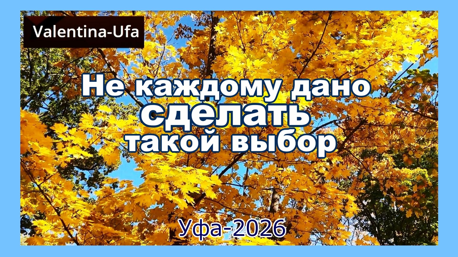 Любимые питомцы, собачки, кошечки др