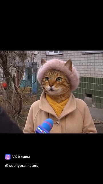 юмор из интернета.