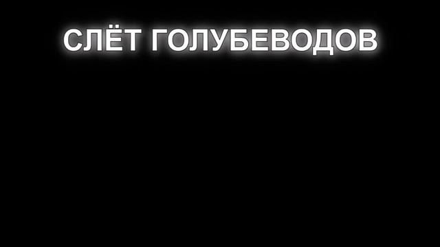 Очередной слёт голубеводов г Узловая. 04.10.26.