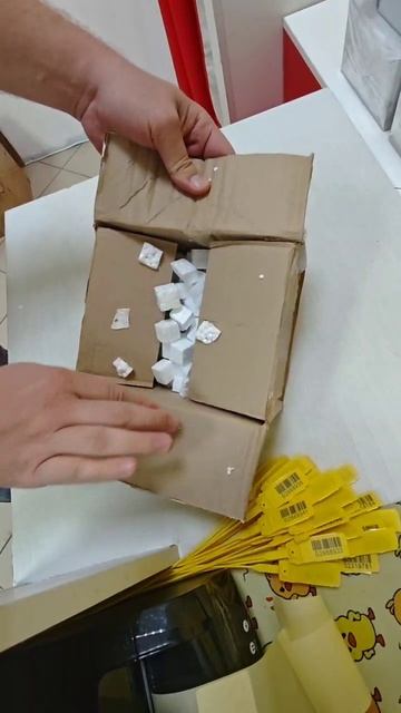 Video5319290238449788373