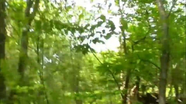 В покинутом селе