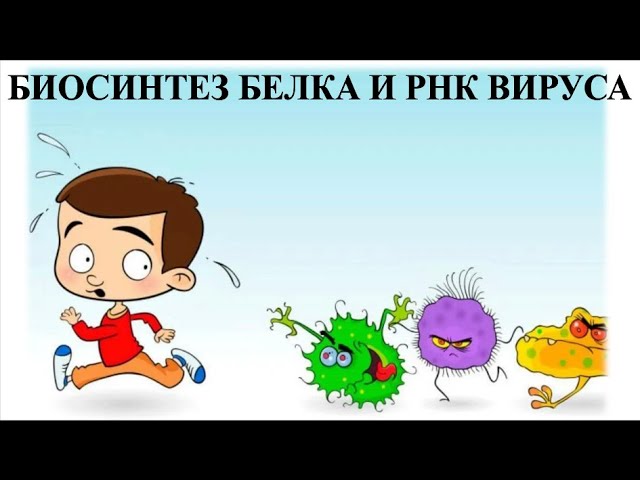 Разбор задачи на биосинтез белка и вирусную РНК 52879.