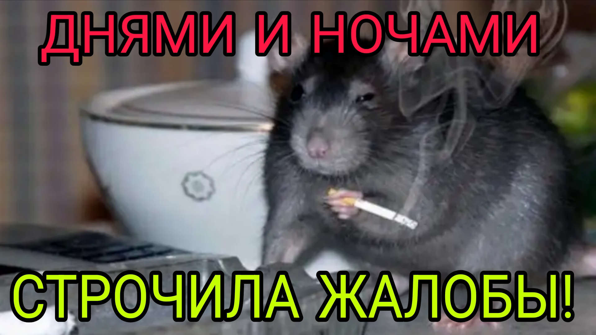 ДНЯМИ И НОЧАМИ СТРОЧИЛА ЖАЛОБЫ. ВЫМЫШЛЕНЫЕ ИСТОРИИ.