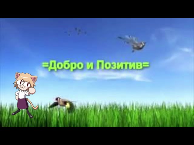 Добро и позитив с Neco Arc